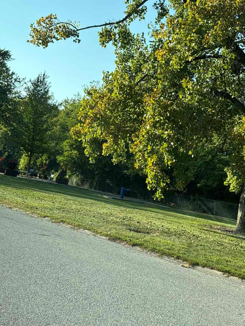 walking near me in Riverview Park in autumn