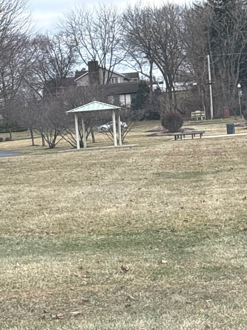 walking near me in Scherwood Greens Park in winter