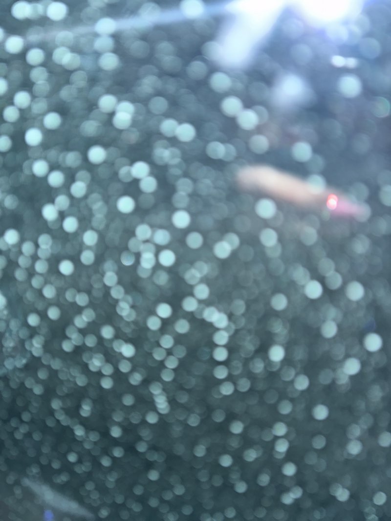 walking near me in Beaver Dam Park in winter