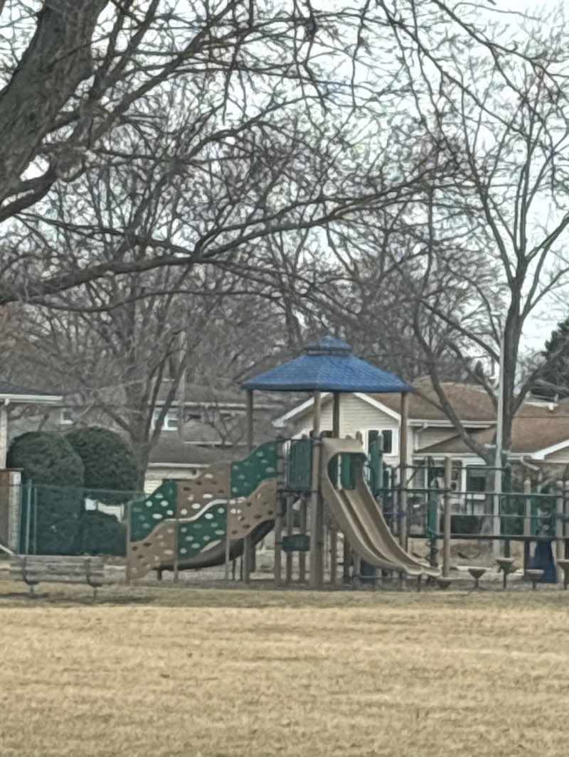 walking near me in Eric “Moose” Nasebandt Park in winter
