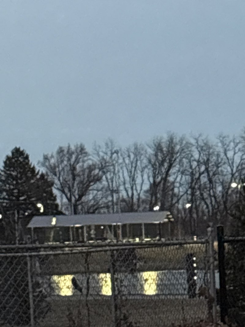 walking near me in Sauerman Woods in winter