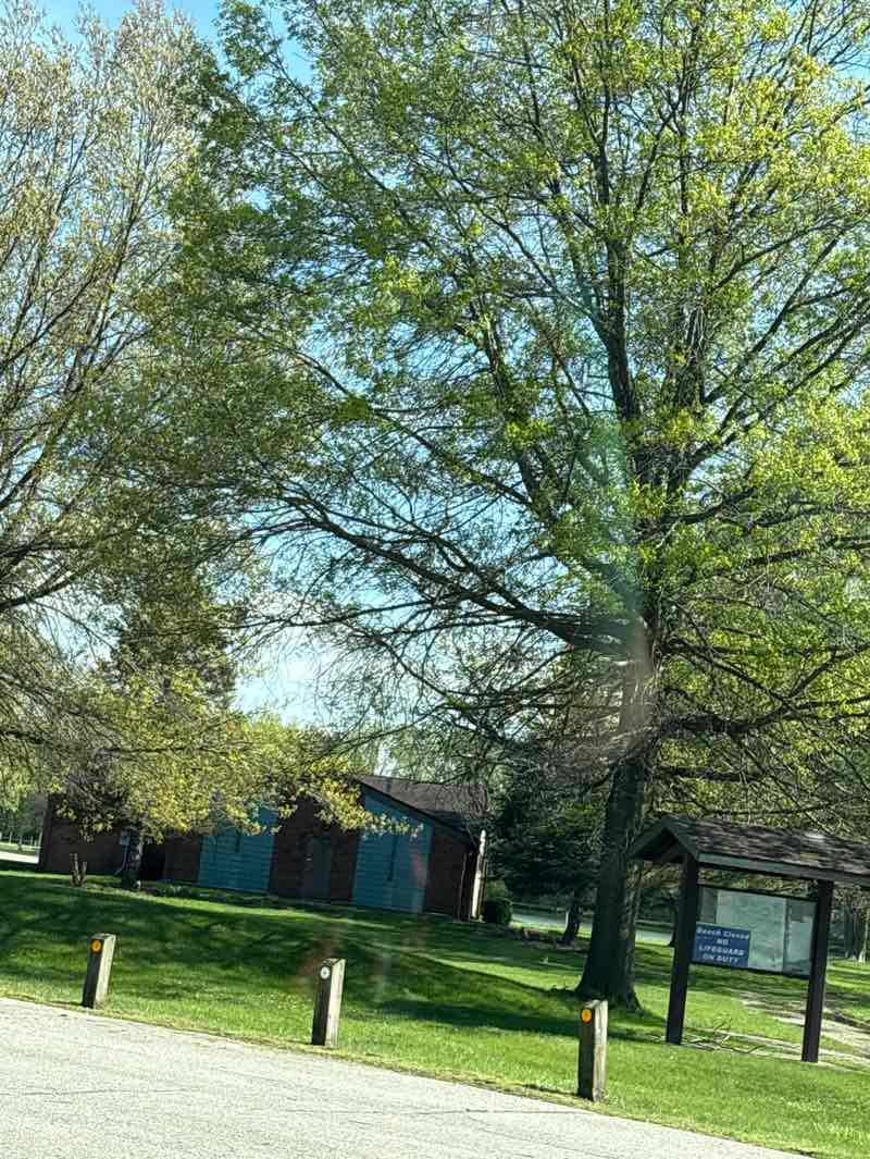 walking near me in Lake Etta County Park in spring