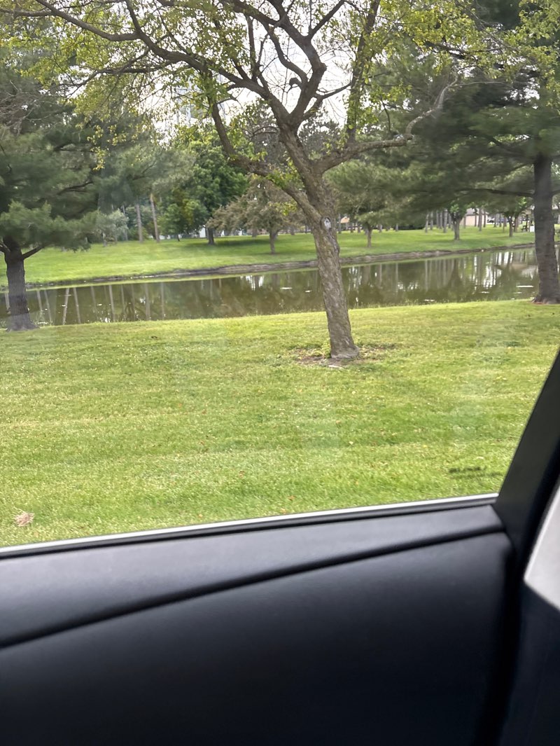 walking near me in Evergreen Park in summer