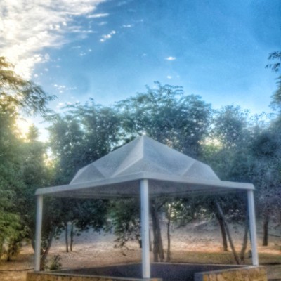 نادي واحة هجر للمشي والجري HOC yahya alabbad post image