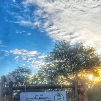 نادي واحة هجر للمشي والجري HOC yahya alabbad post image