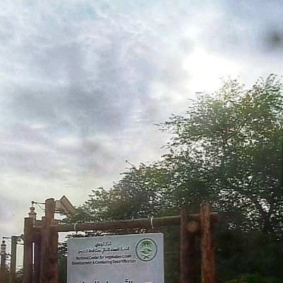 مشاة وهايكرز الأحساء yahya alabbad post image