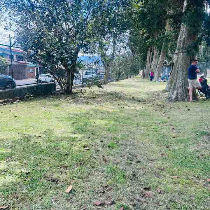 🇨🇦MONTREAL PACERS🇨🇦 CR Juan Carlos post image