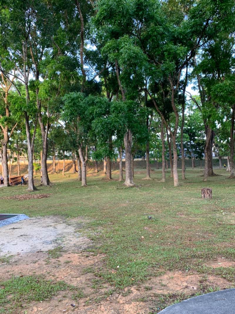 walking near me in Taman Seri Alam in winter