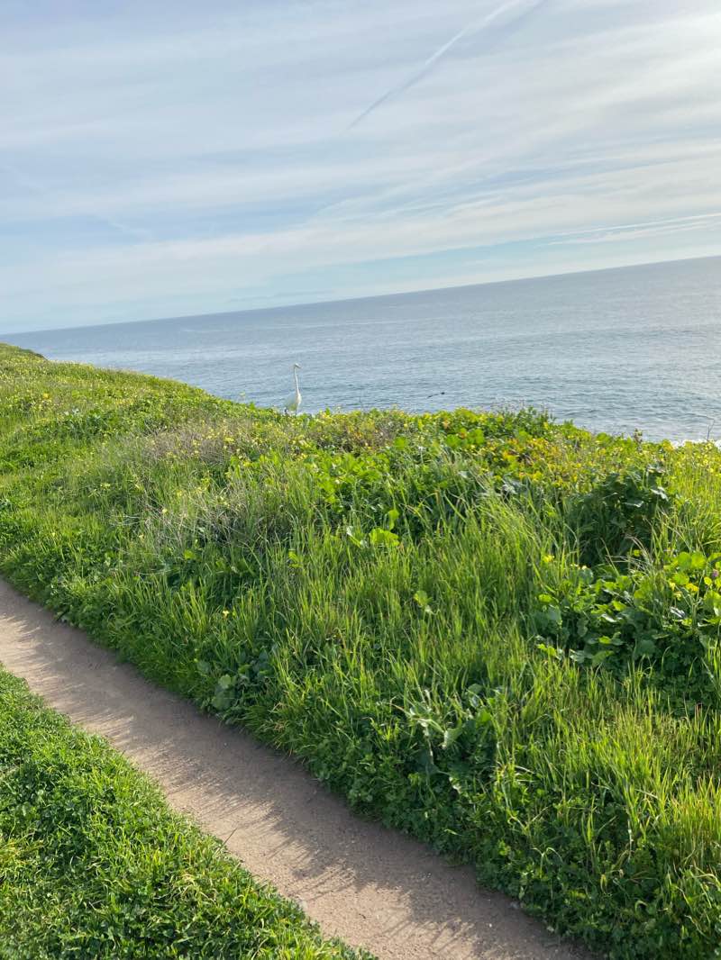 walking near me in Wilder Beach Natural Preserve in winter