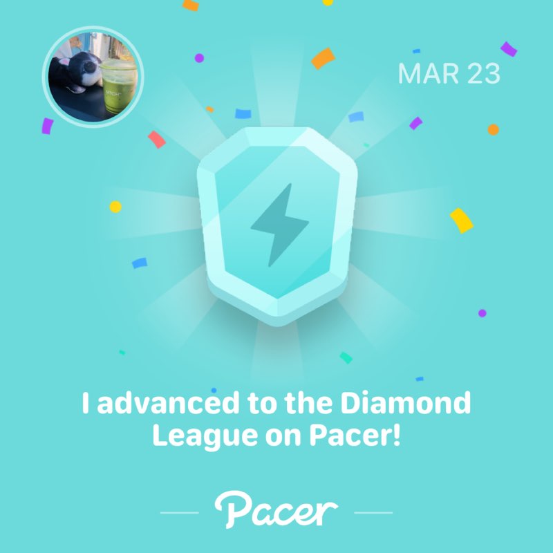 เจ้าเหมียว post 1