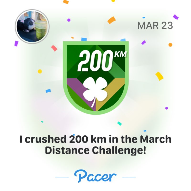 เจ้าเหมียว post 1