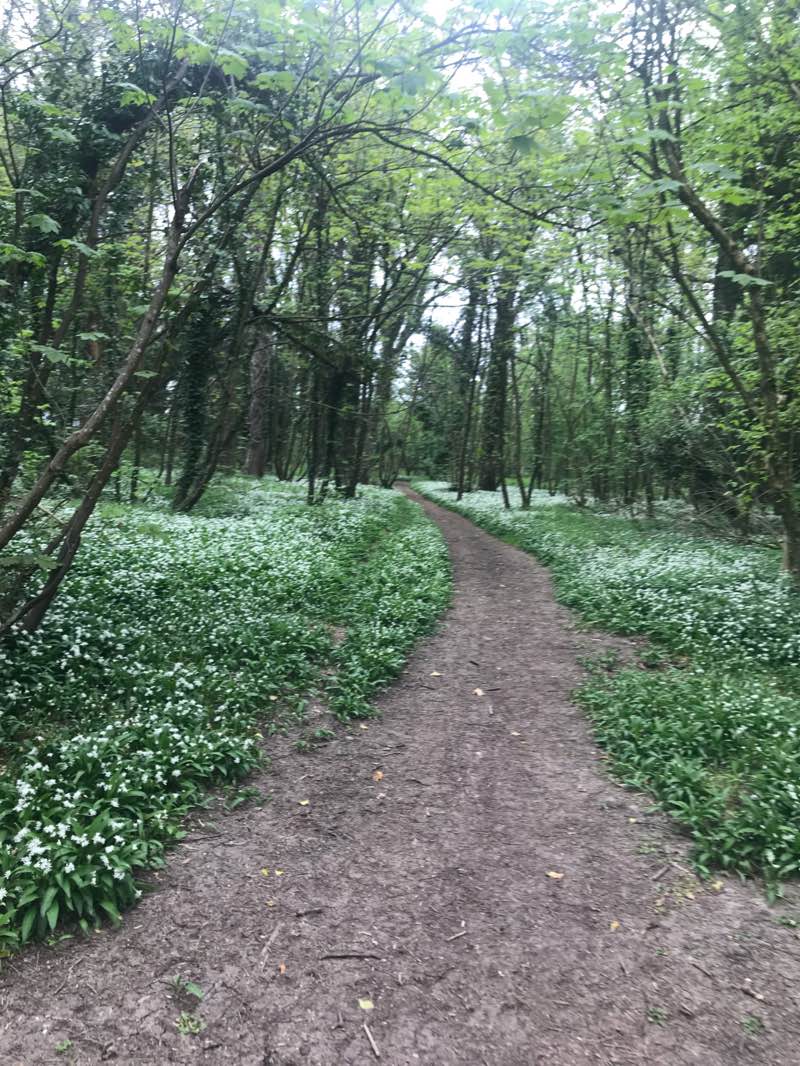 walking near me in The Old Cricket Field in winter