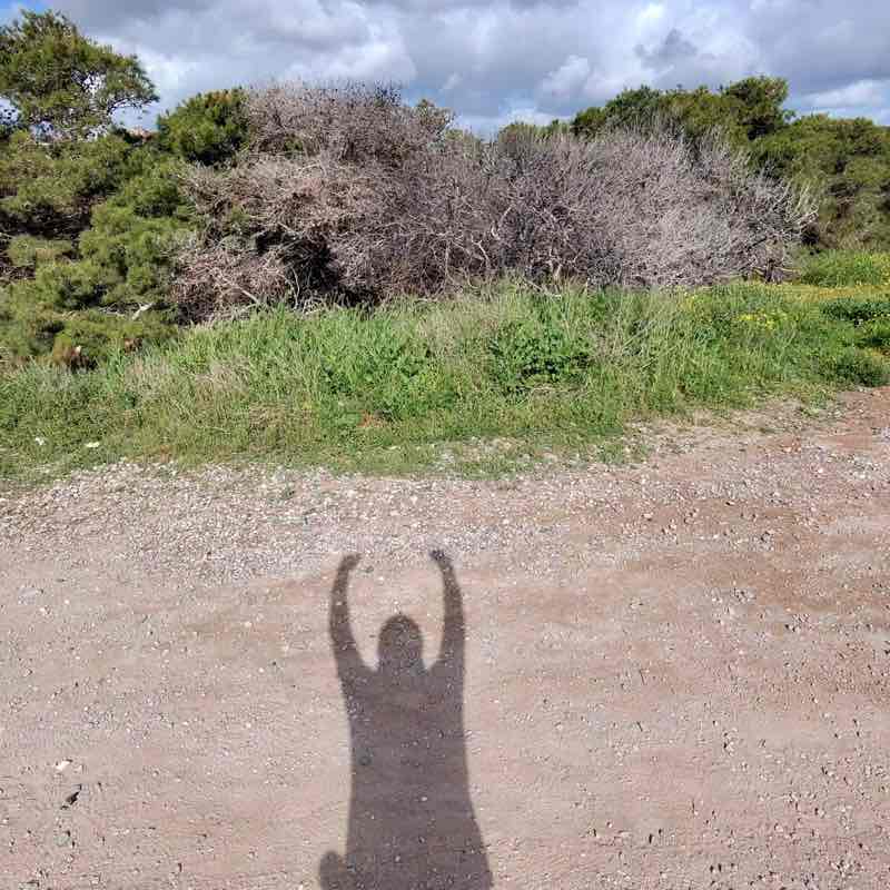 Aquí hay Bokerones ManuJt post image