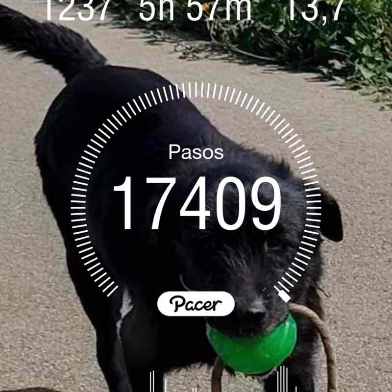 Aquí hay Bokerones ManuJt post image