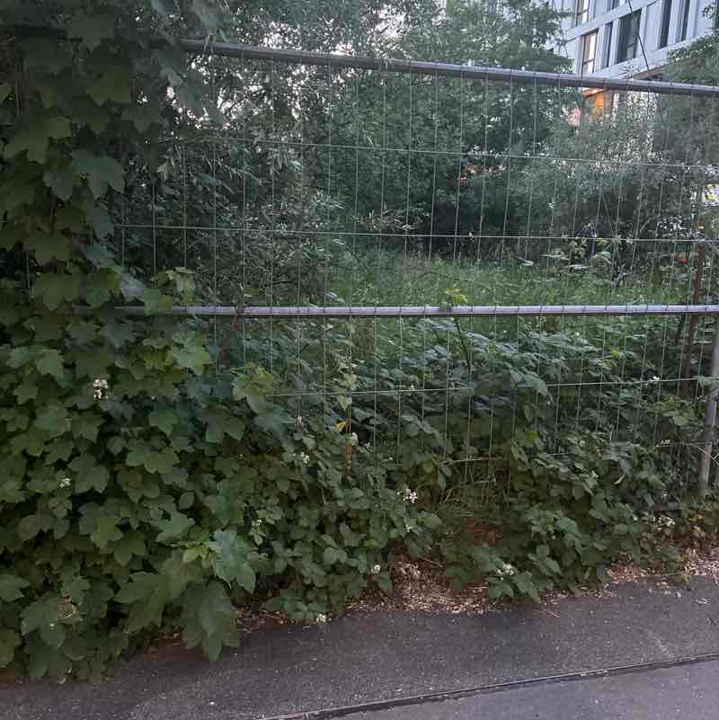 CholaRani post 1
