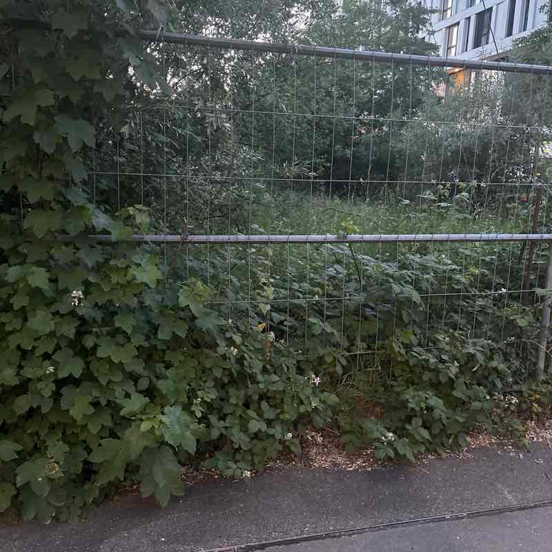 CholaRani post 1