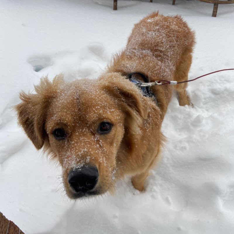 Arvind Mathur profile