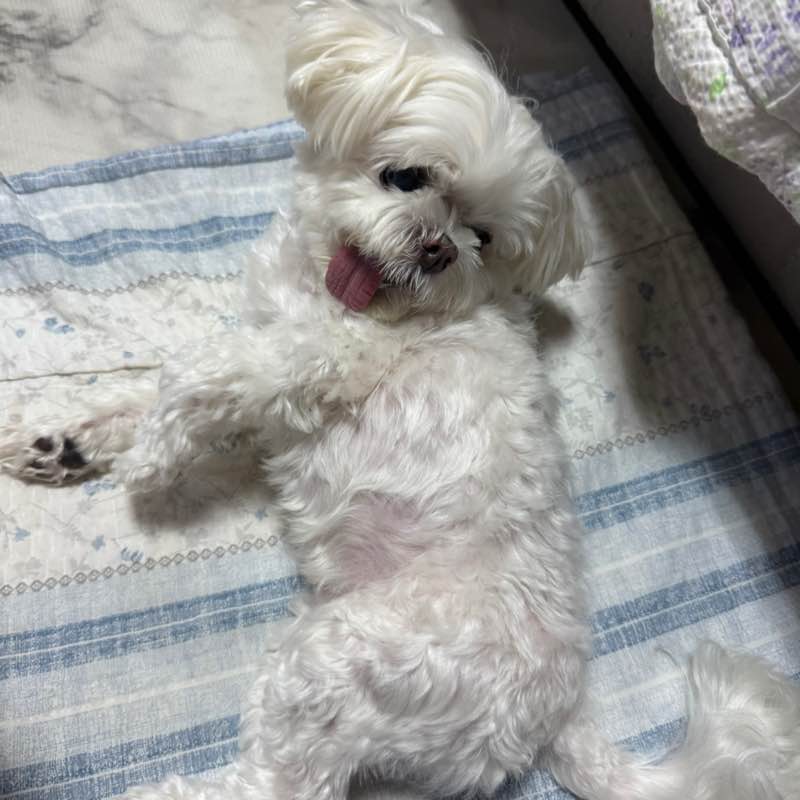 Walkingholic Rush Ttari post image