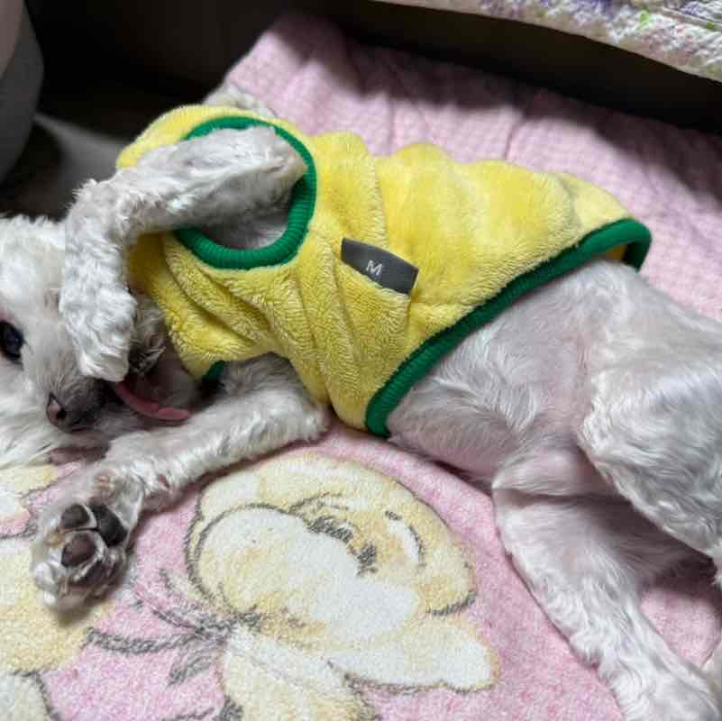 Walkingholic Rush Ttari post image