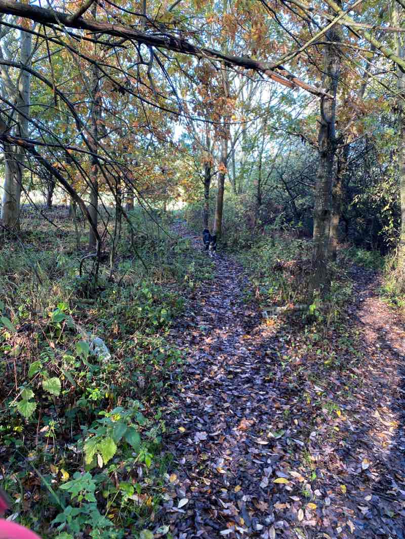 walking near me in Bloxham Mill Park in winter