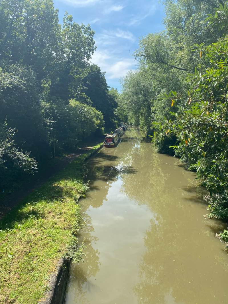 walking near me in People's Park in winter