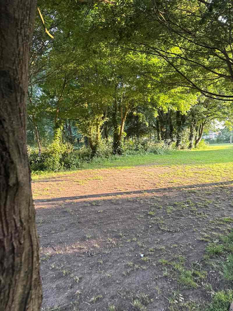 walking near me in Inwood Park in summer