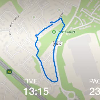 barefoot dog walker post 1