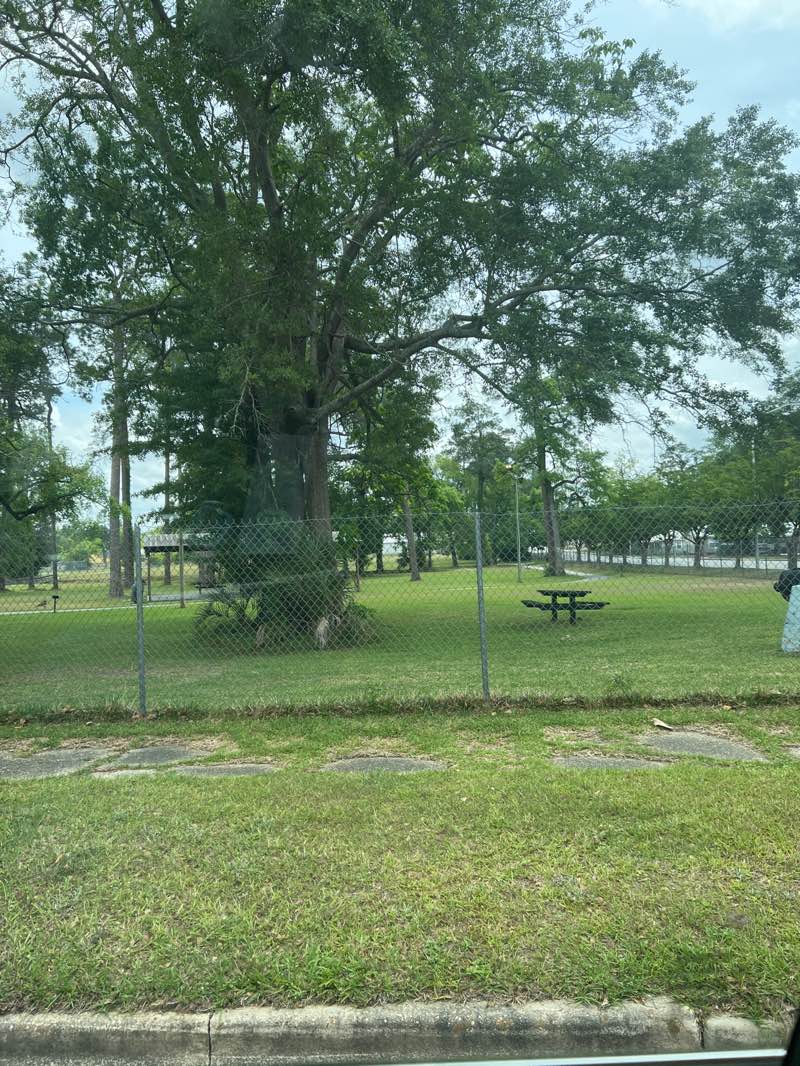 walking near me in Blue and Gray Park in spring