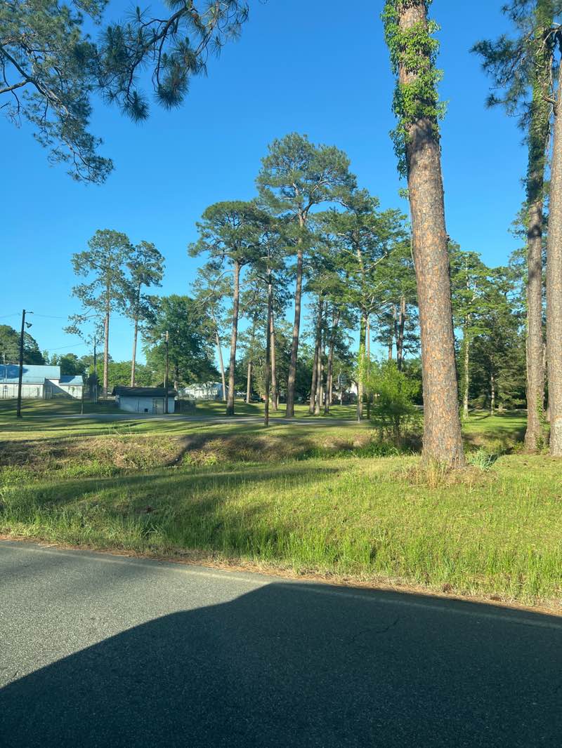 walking near me in American Legion Park in spring