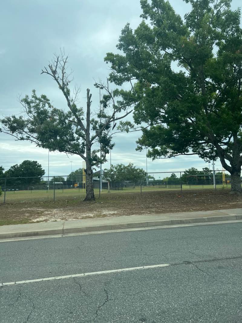 walking near me in Fitzgerald Ball Park in spring