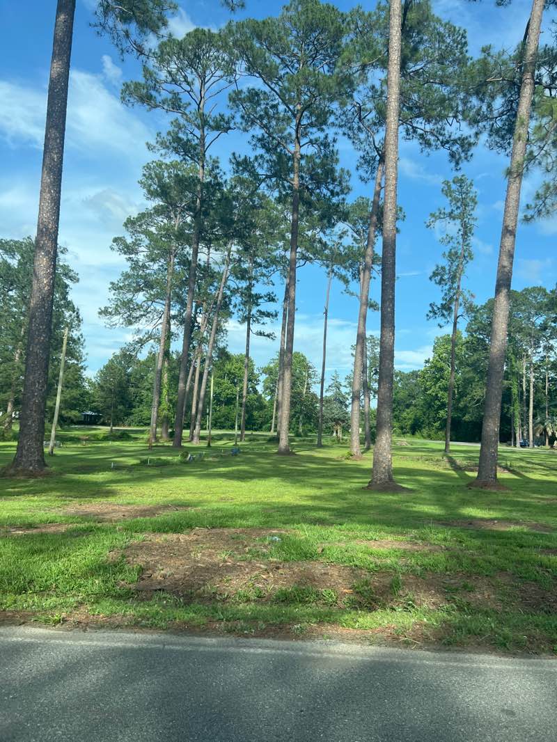 walking near me in American Legion Park in summer