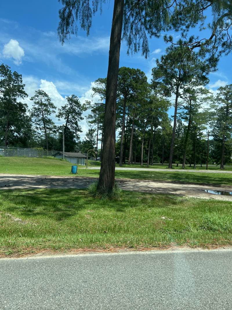 walking near me in American Legion Park in summer