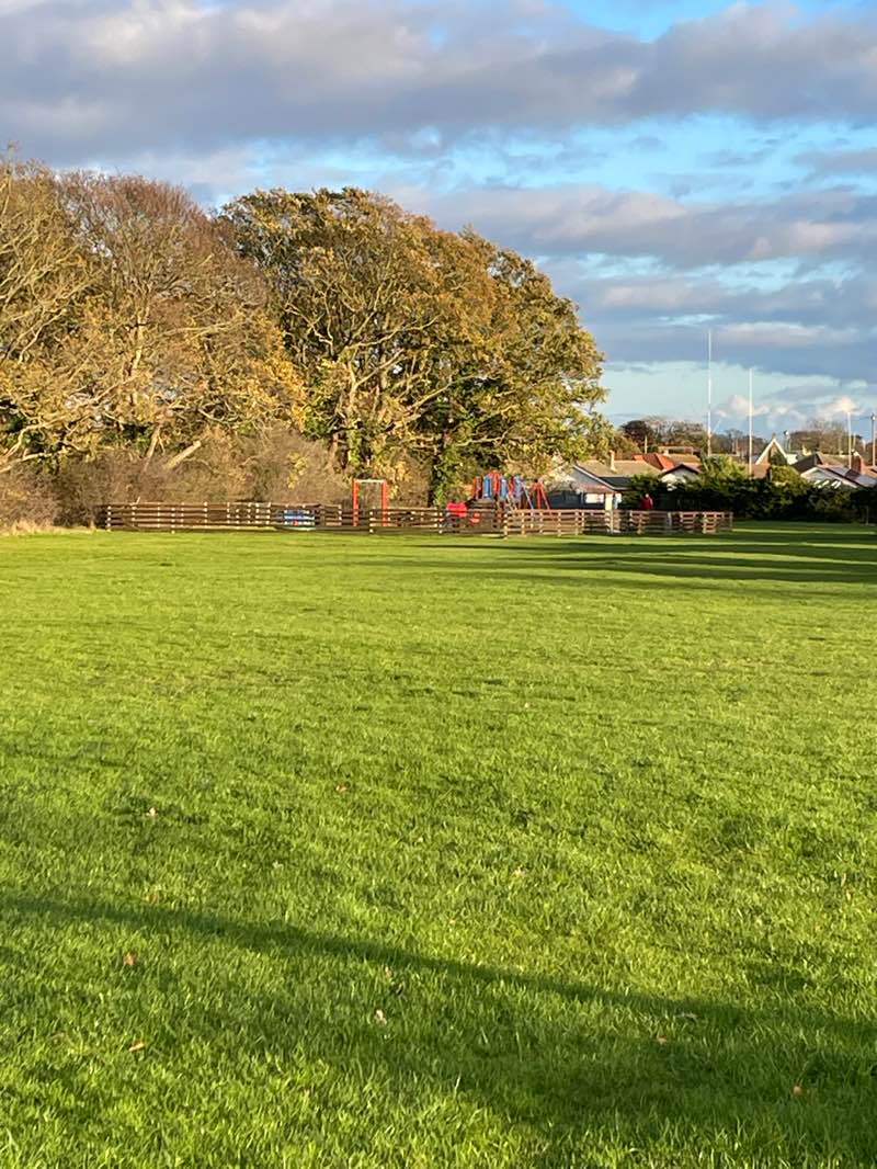 walking near me in Carisbrooke Avenue Playing Fields in autumn