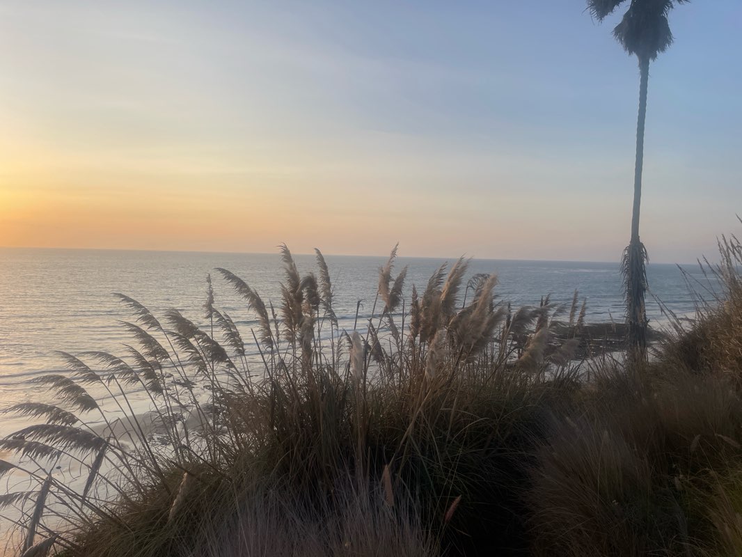 walking near me in Cardiff Park in winter