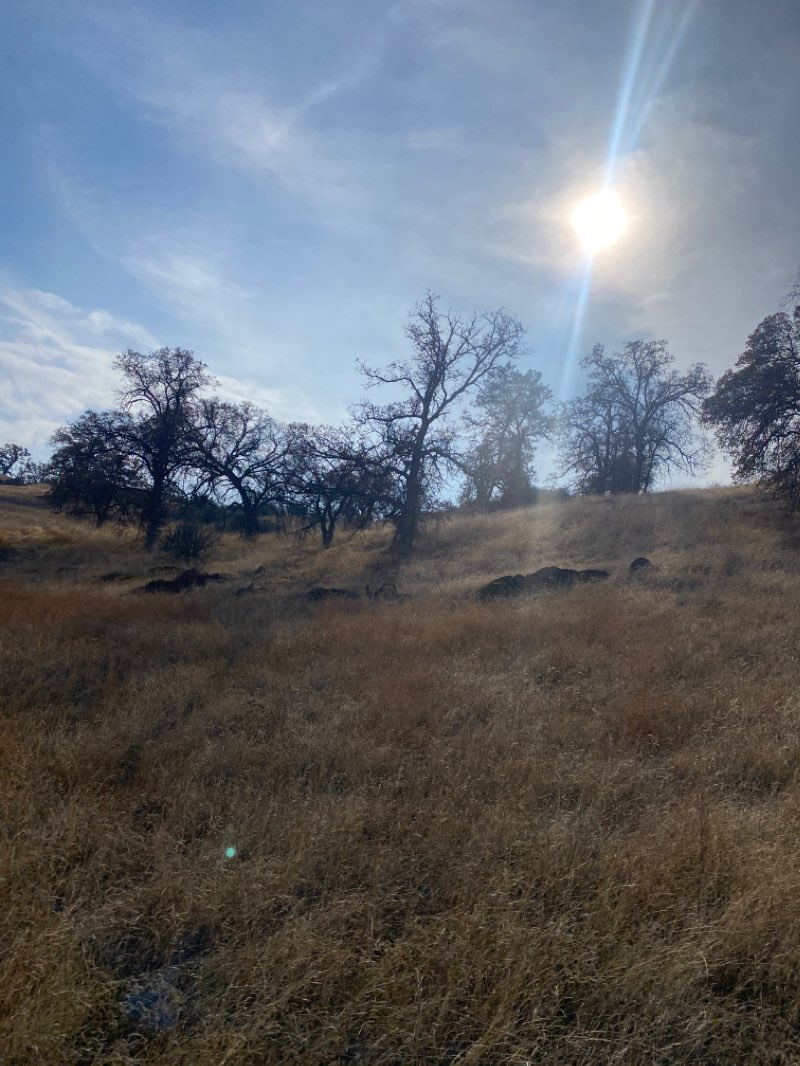 walking near me in Savage Monument Buck Ridge Recreation Area in winter