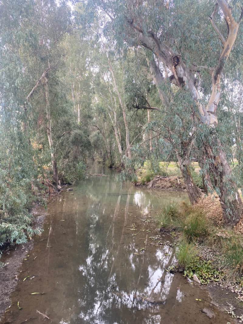 walking near me in Fahrens Park in winter