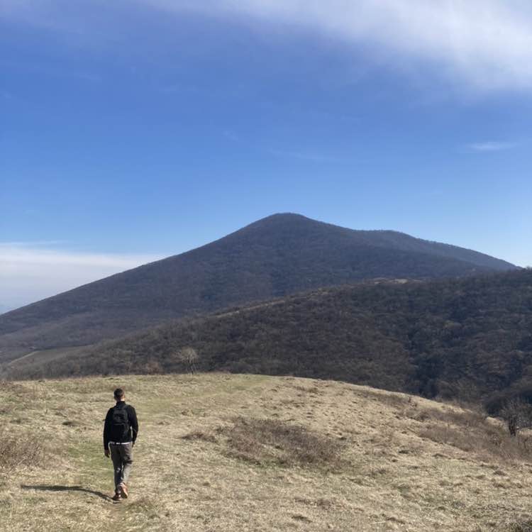 🇷🇸SERBIA PACERS🇷🇸 Aleksa post image