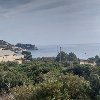 camminiamo Padova gigi post image