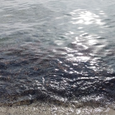 camminiamo Padova gigi post image