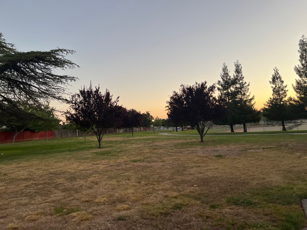 walking near me in Warm Springs Park in autumn