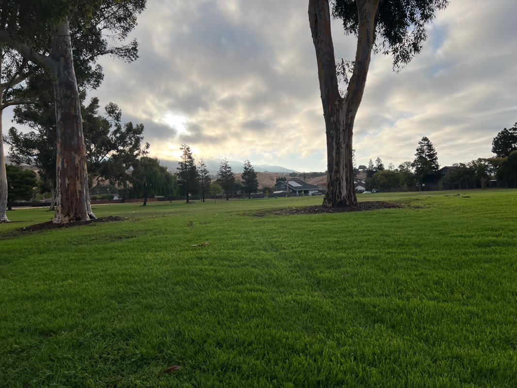 walking near me in Lone Tree Creek Park in autumn