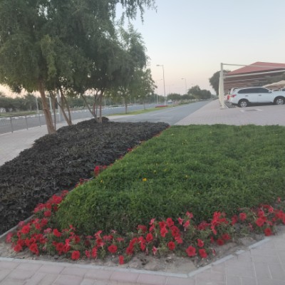 ✨️HAPPY PEOPLE ✨️ Smitha PM PFE post image