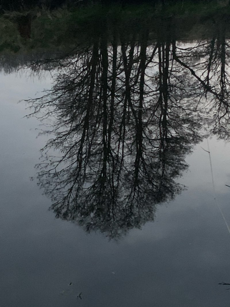 walking near me in Howden Park in winter