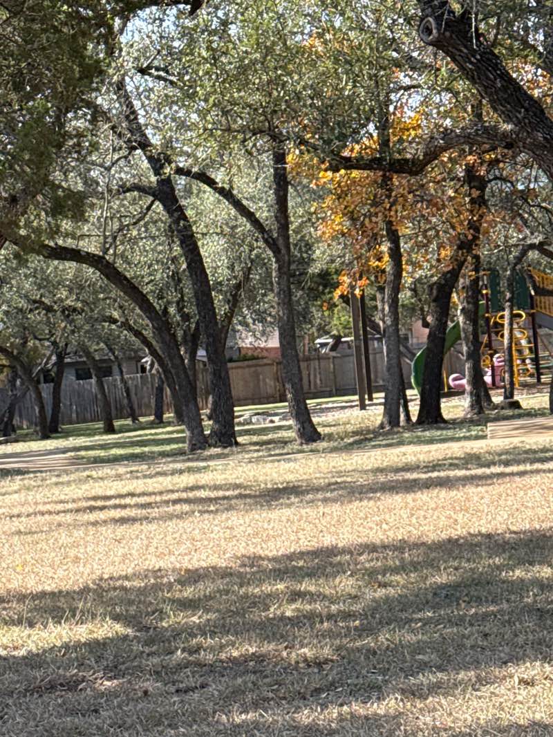 walking near me in Dayna Lawson Park in winter
