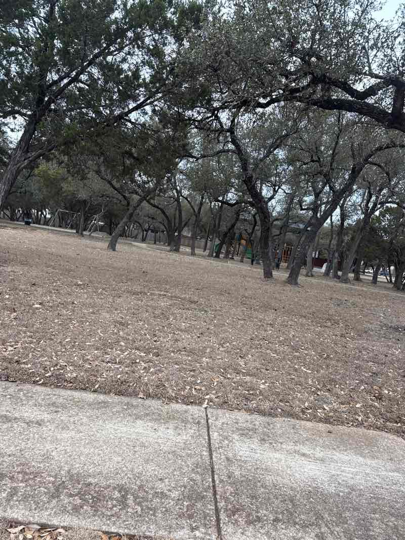 walking near me in Dayna Lawson Park in winter