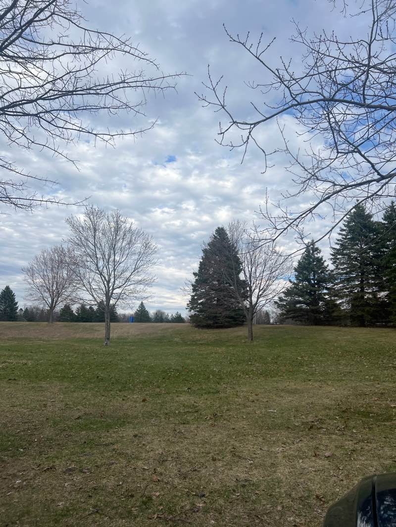 walking near me in Playcrest Park in spring