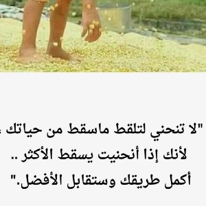 Mansour alwafi profile