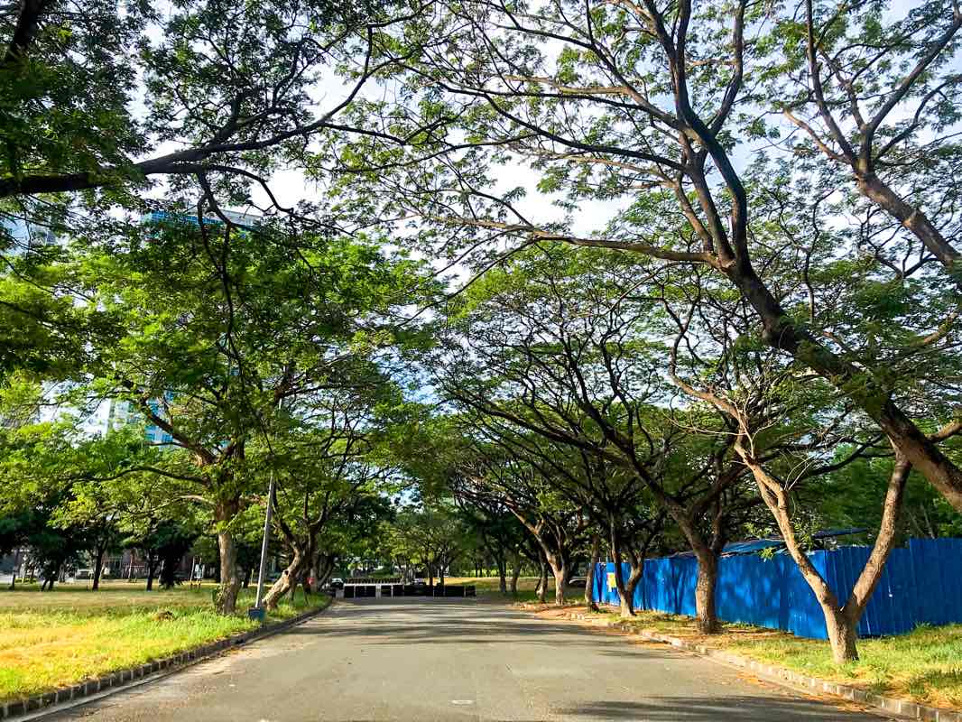 walking near me in T.S. Cruz Alley Park in winter
