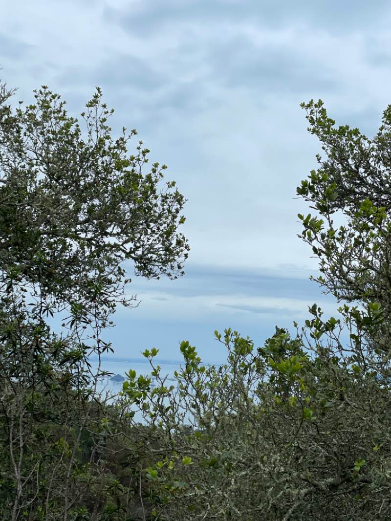 walking near me in Harry A Barbier Memorial Park in winter