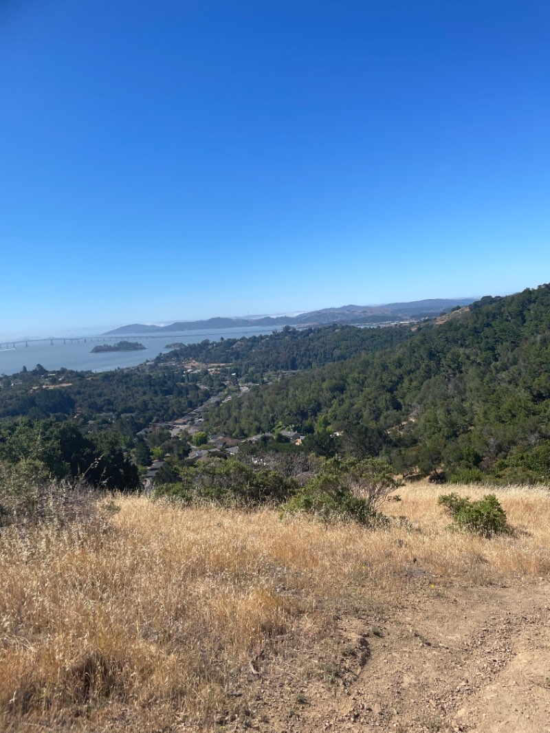walking near me in China Camp State Park in winter
